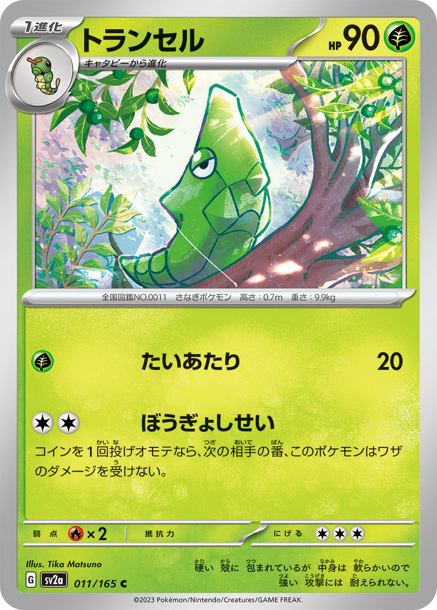 ブロンズ限定の画像